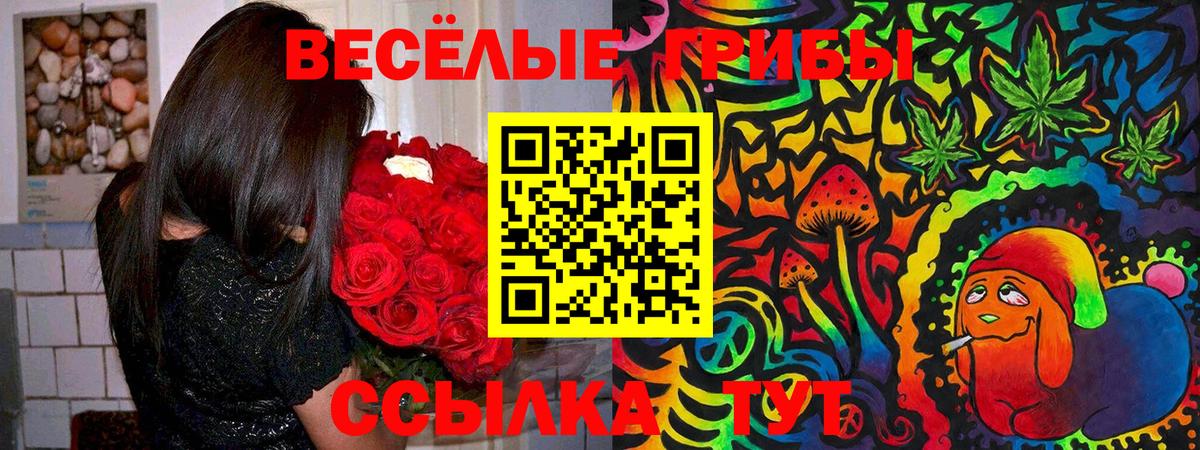 Псилоцибиновые грибы Psilocybine cubensis Павловский Посад