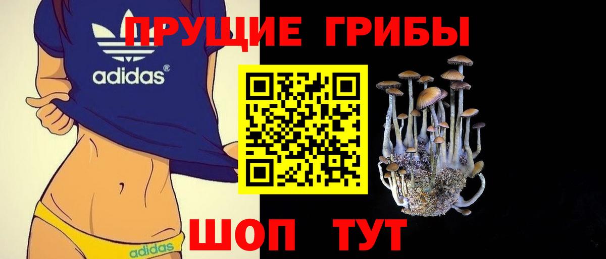 Павловский Посад  где можно купить наркотик  Вход с VPN  Галлюциногенные грибы MAGIC MUSHROOMS 